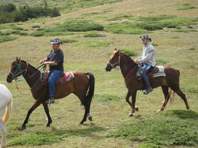 Paseando a lomos de un caballo